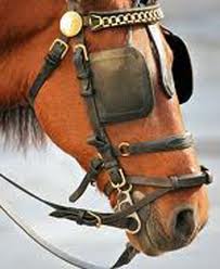 horse+blinder.jpg