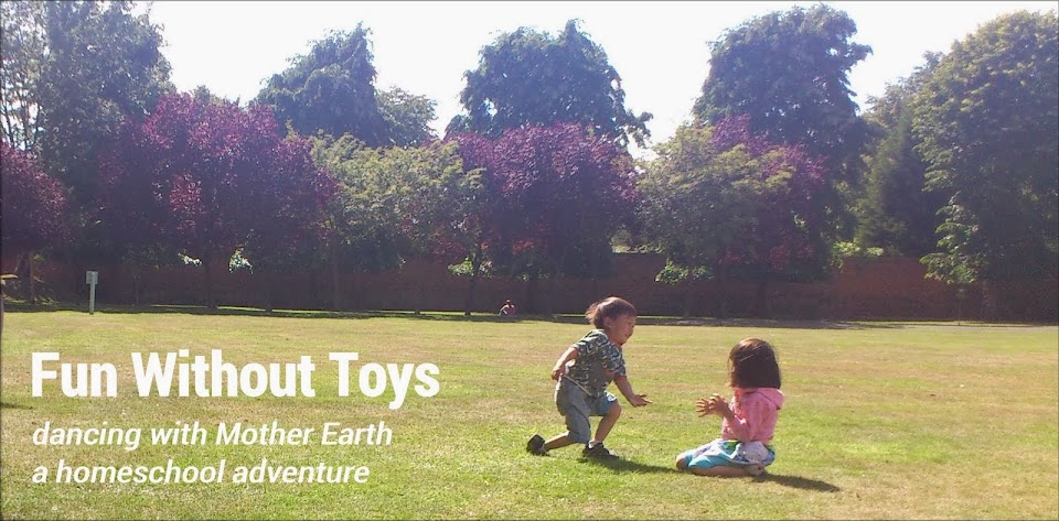 Fun Without Toys