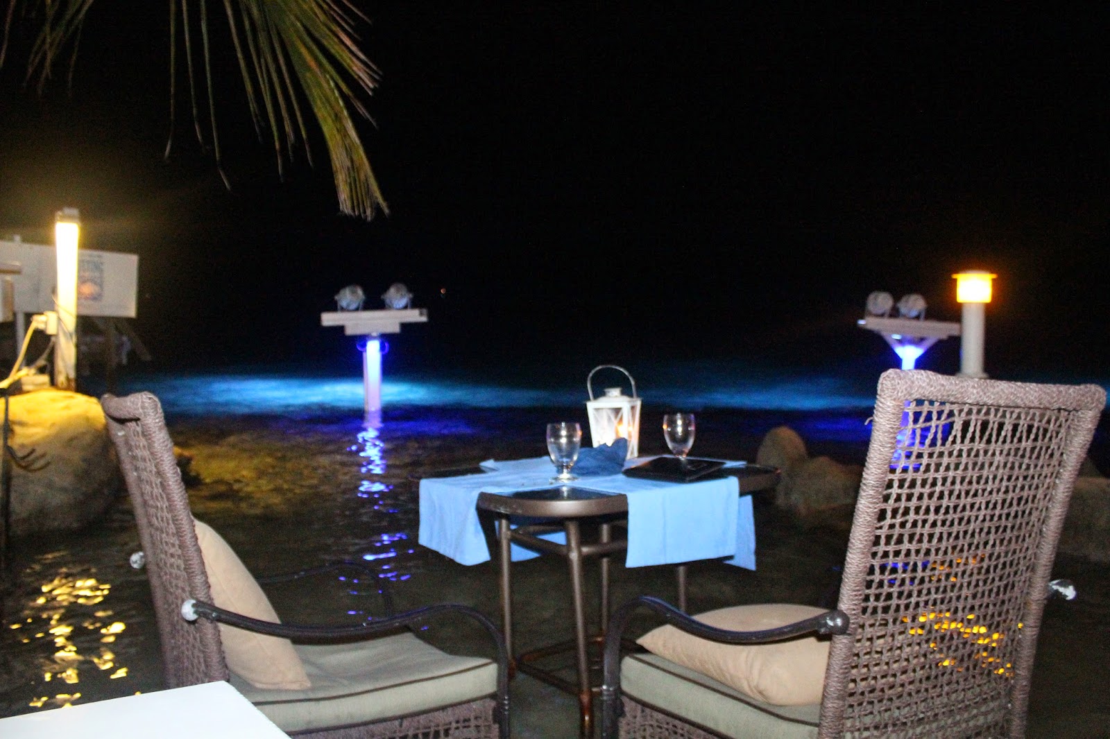 Aruba Diary The Flying Fishbone MSNERDYCHICA