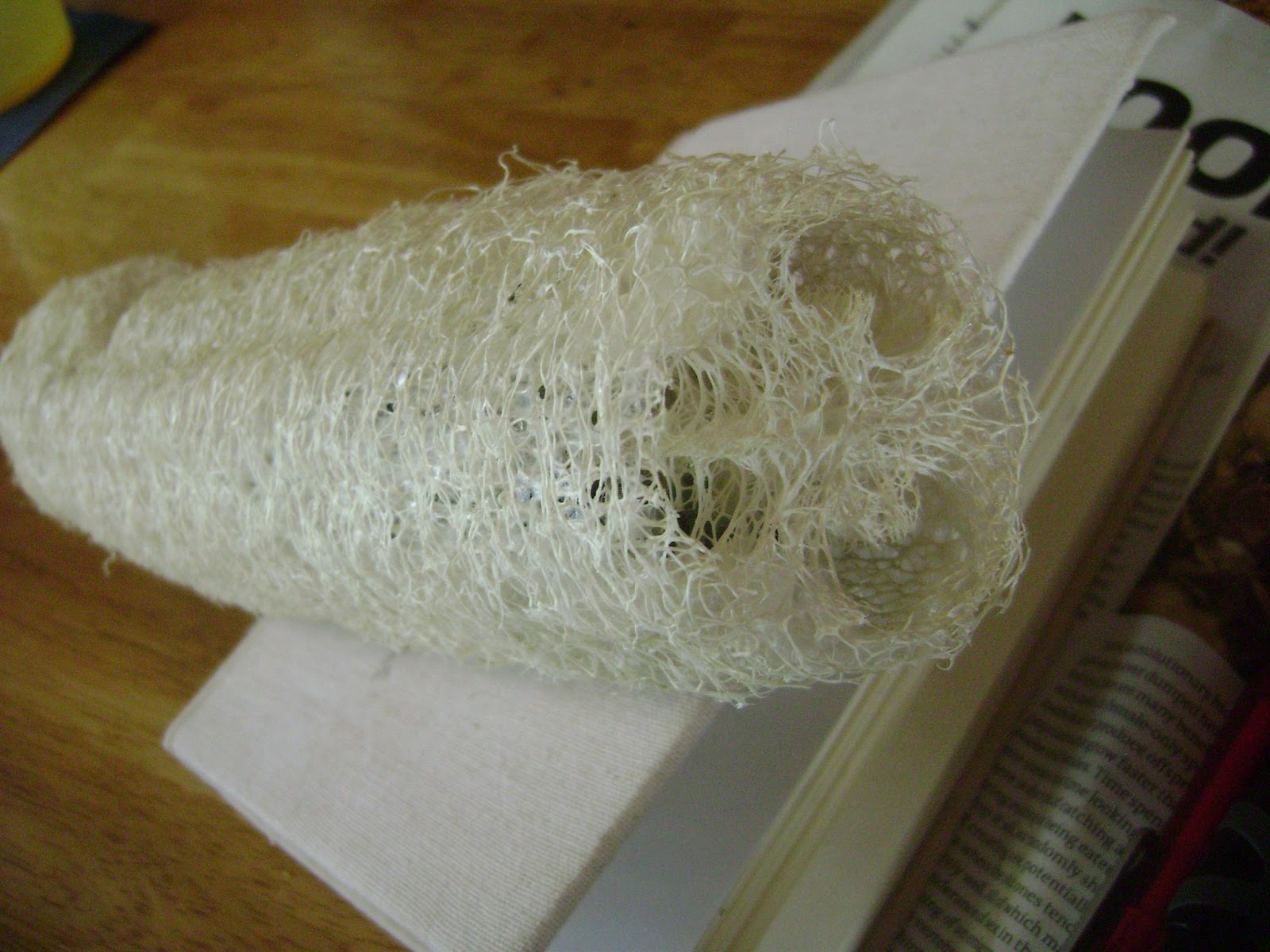 the tropical vegan DIY Sponges