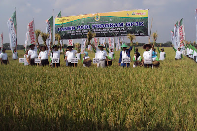 DANDIM 0725/SRAGEN BERSAMA FPD KAB. SRAGEN HADIRI PANEN RAYA