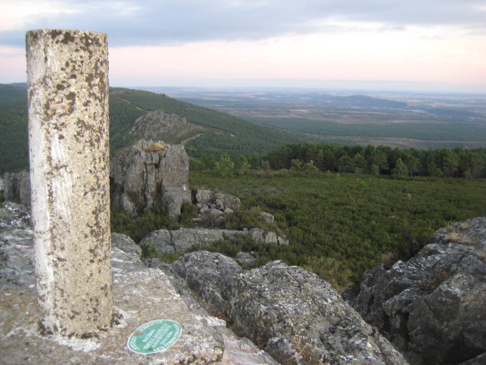 Descubriendo Aliste Peña Castillo