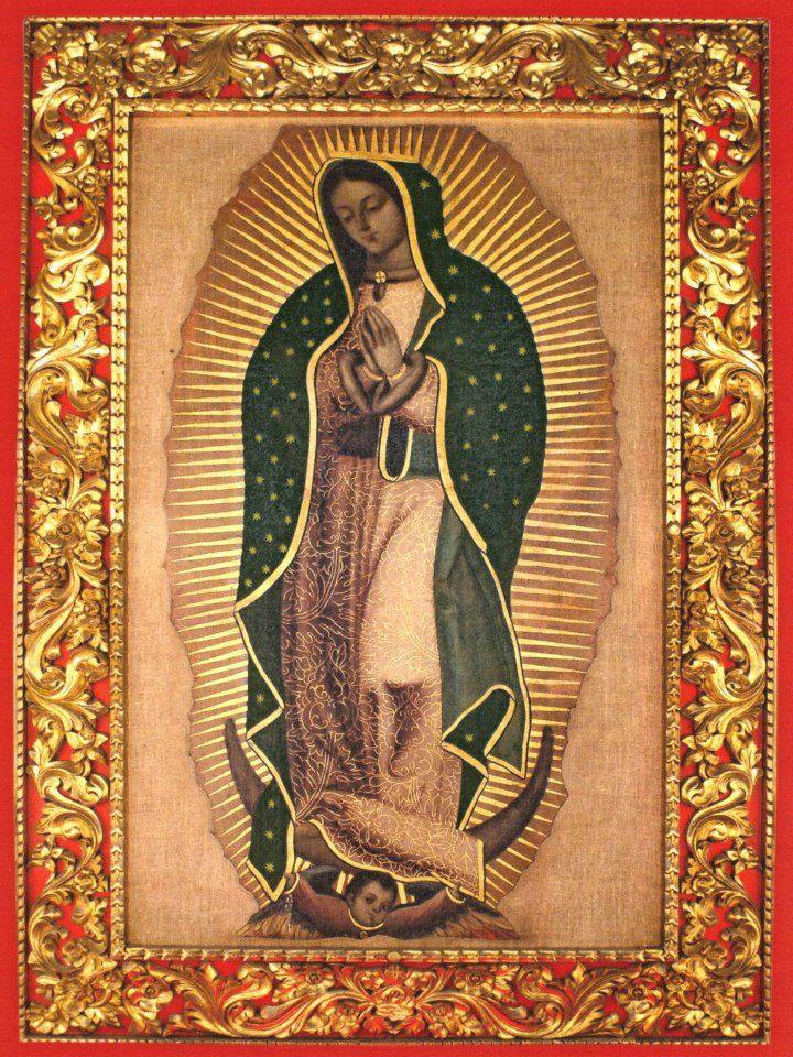Nuestra Señora de Guadalupe dans images sacrée lienzo+El+Carrizal