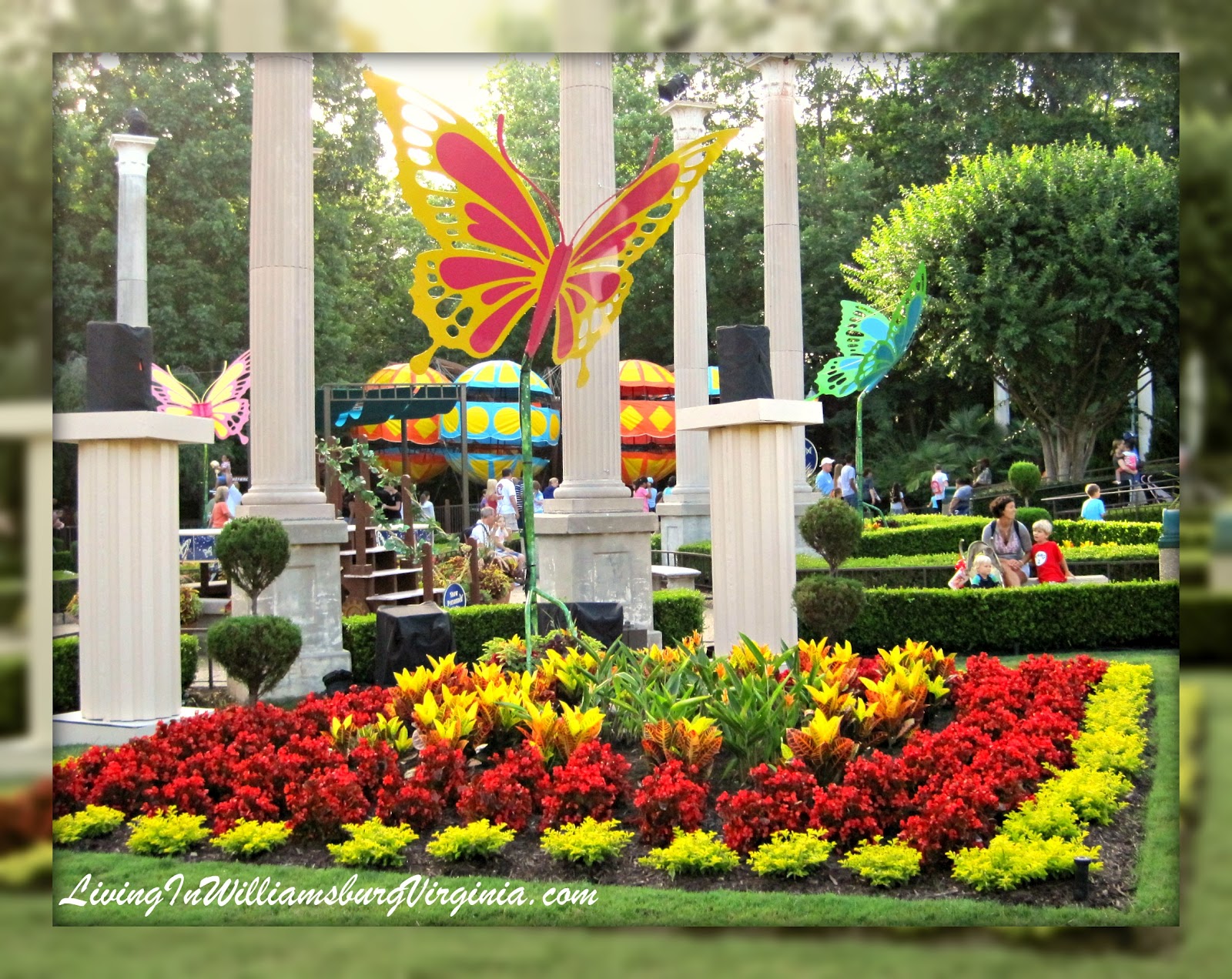 Living In Williamsburg, Virginia Giant Butterflies, Busch Gardens