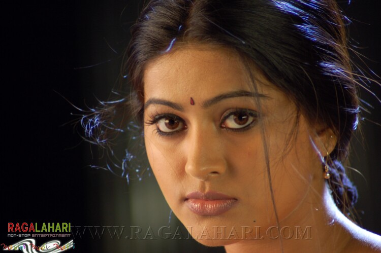 Sneha Telugu Heroine