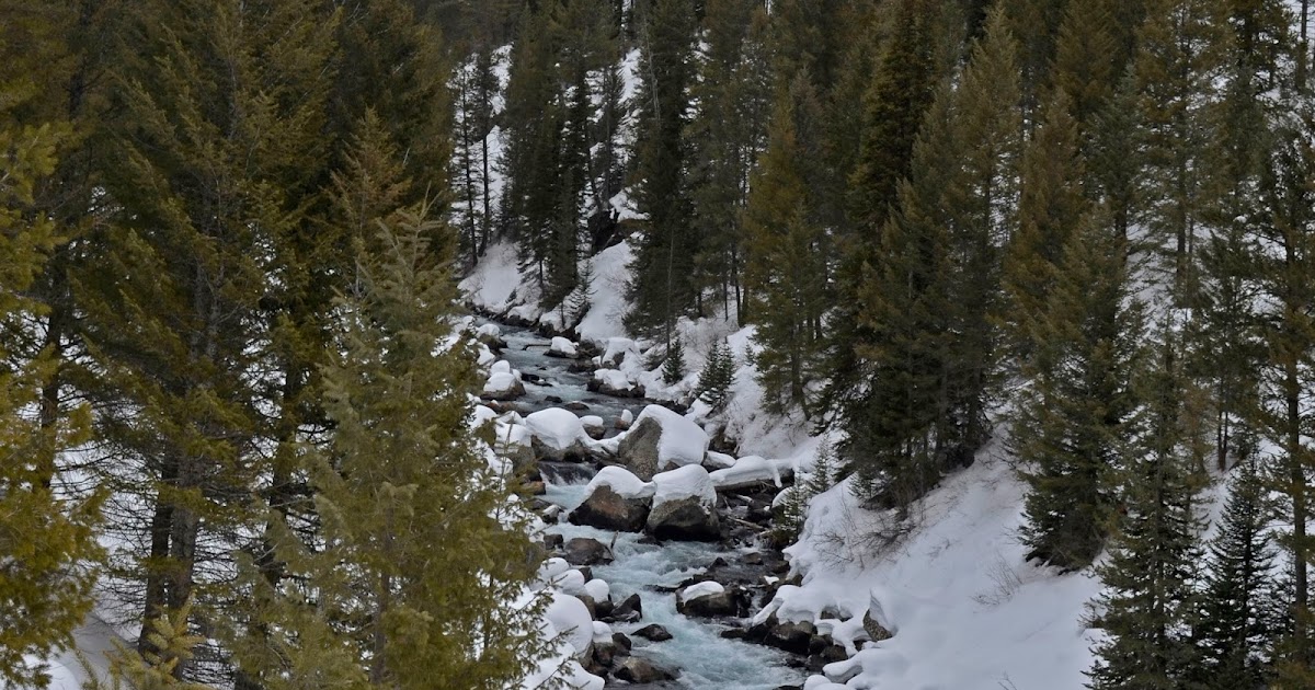Shooting From The Hip Warm River Idaho in Winter