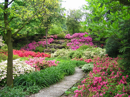 Piante e fiori: come realizzare un piccolo giardino. Creare un piccolo giardino in casa