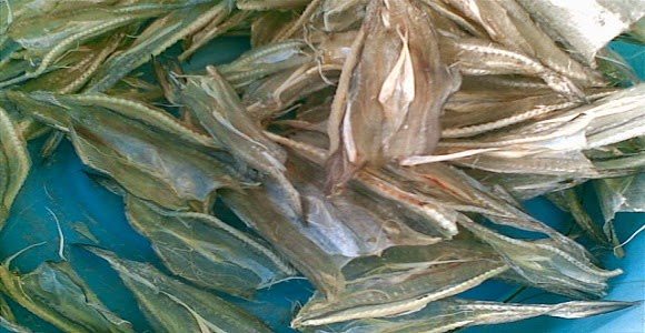 Jual Ikan Tipis "Pepija" khas Tarakan