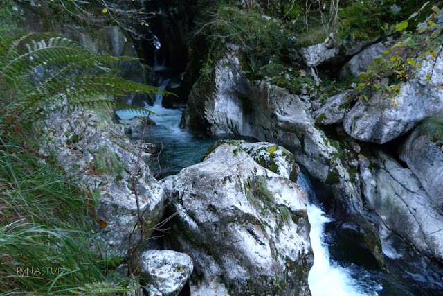 Desfiladero del Río Casaño - Asturias Desfiladero del Río Casaño - Asturias