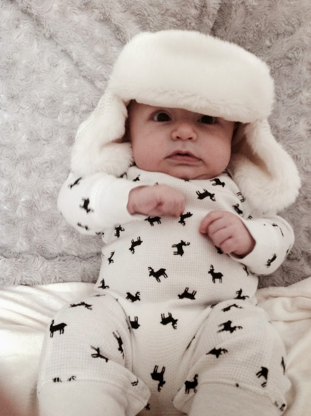 a little pinch of color January Baby Pics