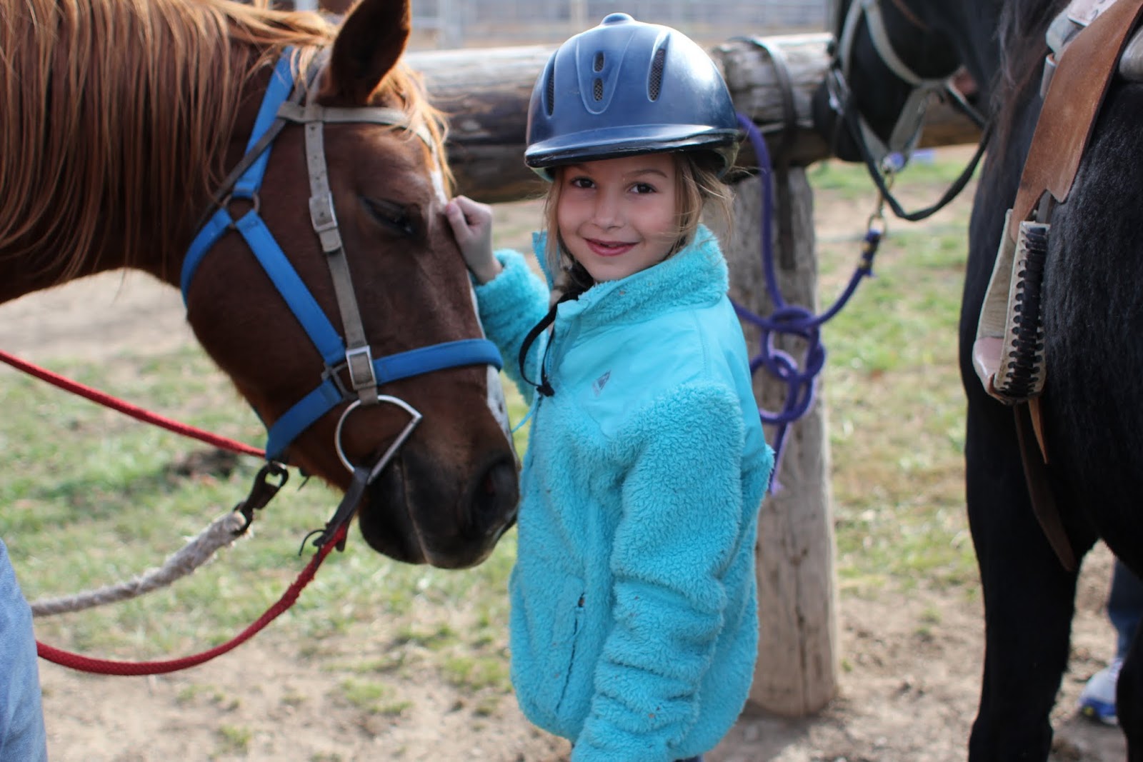 26 east ride with us wild rose equine center