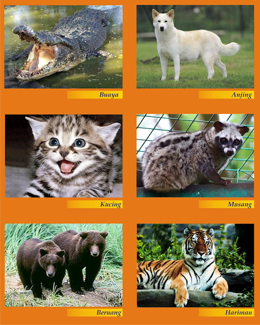 Pusat Jasa Layanan Dokumen: Hewan Pemakan Daging (Karnivora)