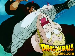 Dragon Ball Z capitulo 254 Dragon Ball Z capitulo 254