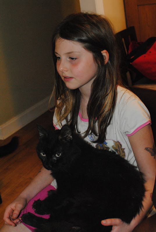 anastasia tchaikovsky