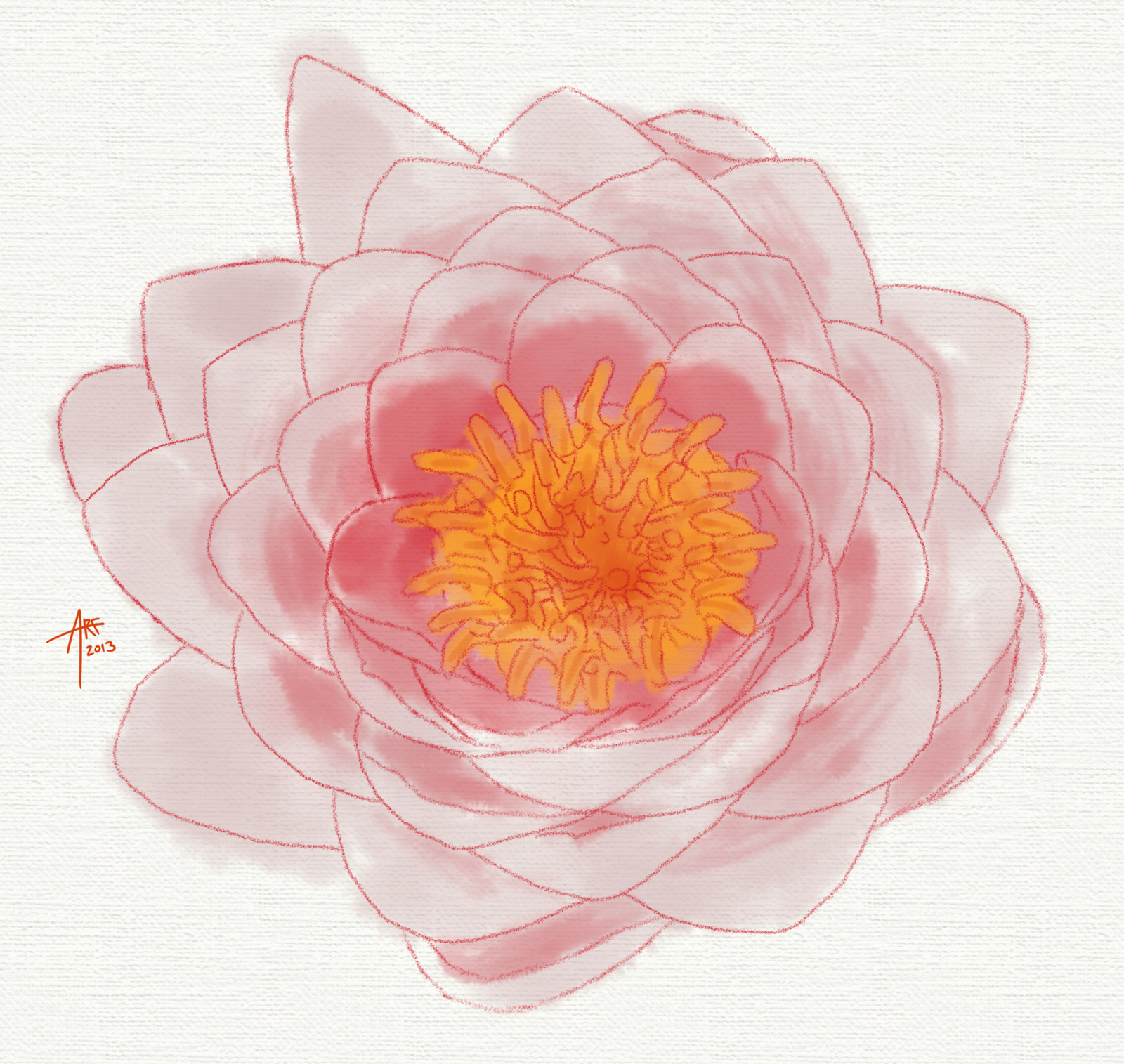 lotus+flower.png