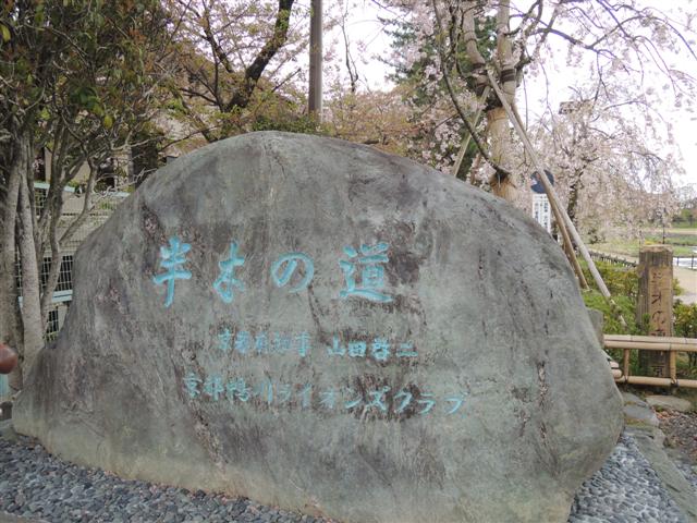 漫步在人間 2013京都賞櫻行 悠閒的居民散步之路 半木之道