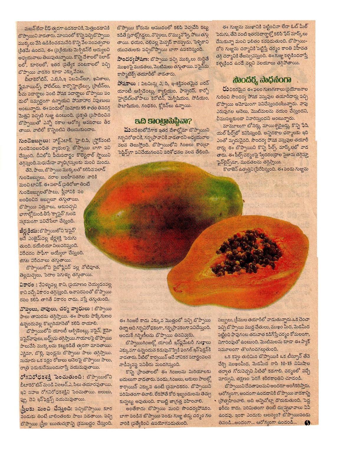 PAPAYA ( BOPPAYI ) USES symptoms cancer of the throat & esophagus