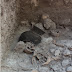 Arqueólogos descubren 24 cadáveres descuartizados por los mayas