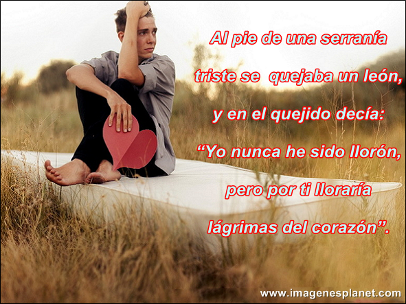 Imagenes Animadas Llorando Por Amor | hombre llorando por su amor im 225 genes de amor con Imagenes Animadas Llorando Por Amor | hombre llorando por su amor im 225 genes de amor con