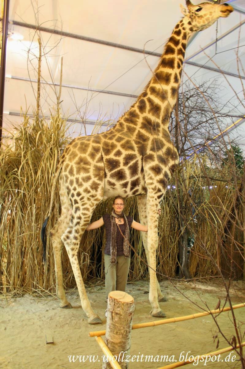 Tonbaustoffe Vom Marktfuhrer Wienerberger Gmbh