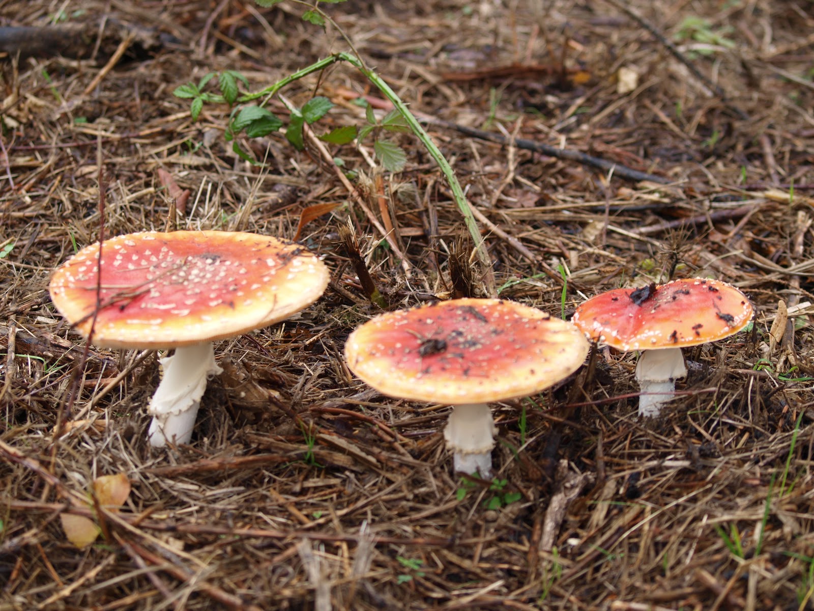 Zien en weten': oktober 2012