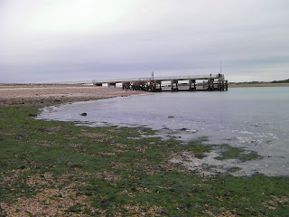 outflow pipe at low tide