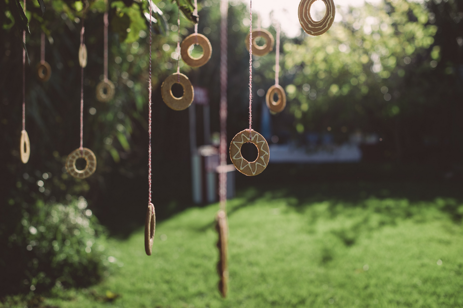 Hanging Cookies Hanging Cookies