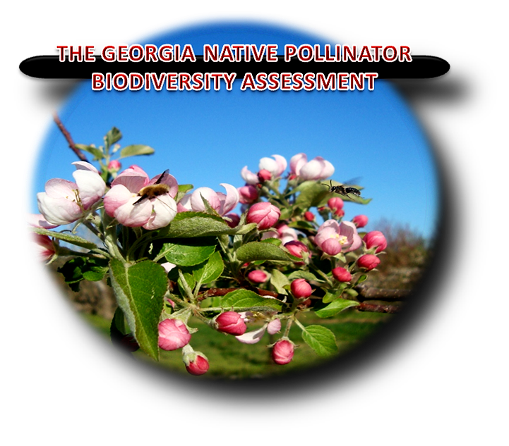 Georgia Native Pollinator Biodiversity Assessment