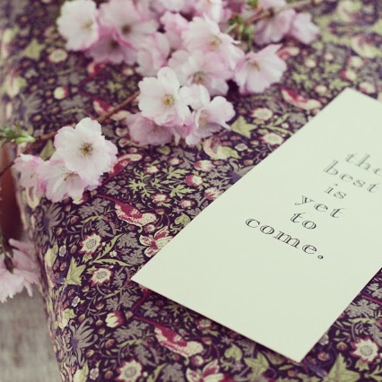 IMG 8671 Några dagar via instagram.