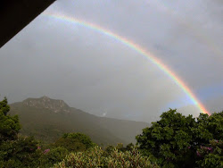 Dias de chuva...