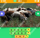 1 Pic 3 Words Level 304 answers cheats, solutions, walkthrough for 1 pic 3 words level 304