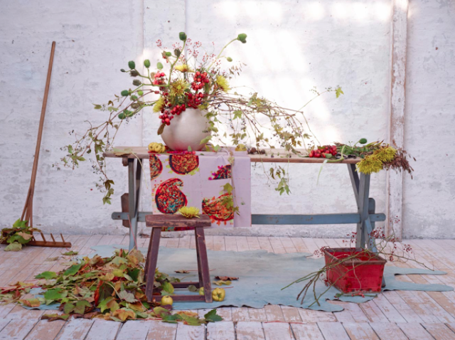 fleurs et baies photo Julia Hoersch via Nat et nature