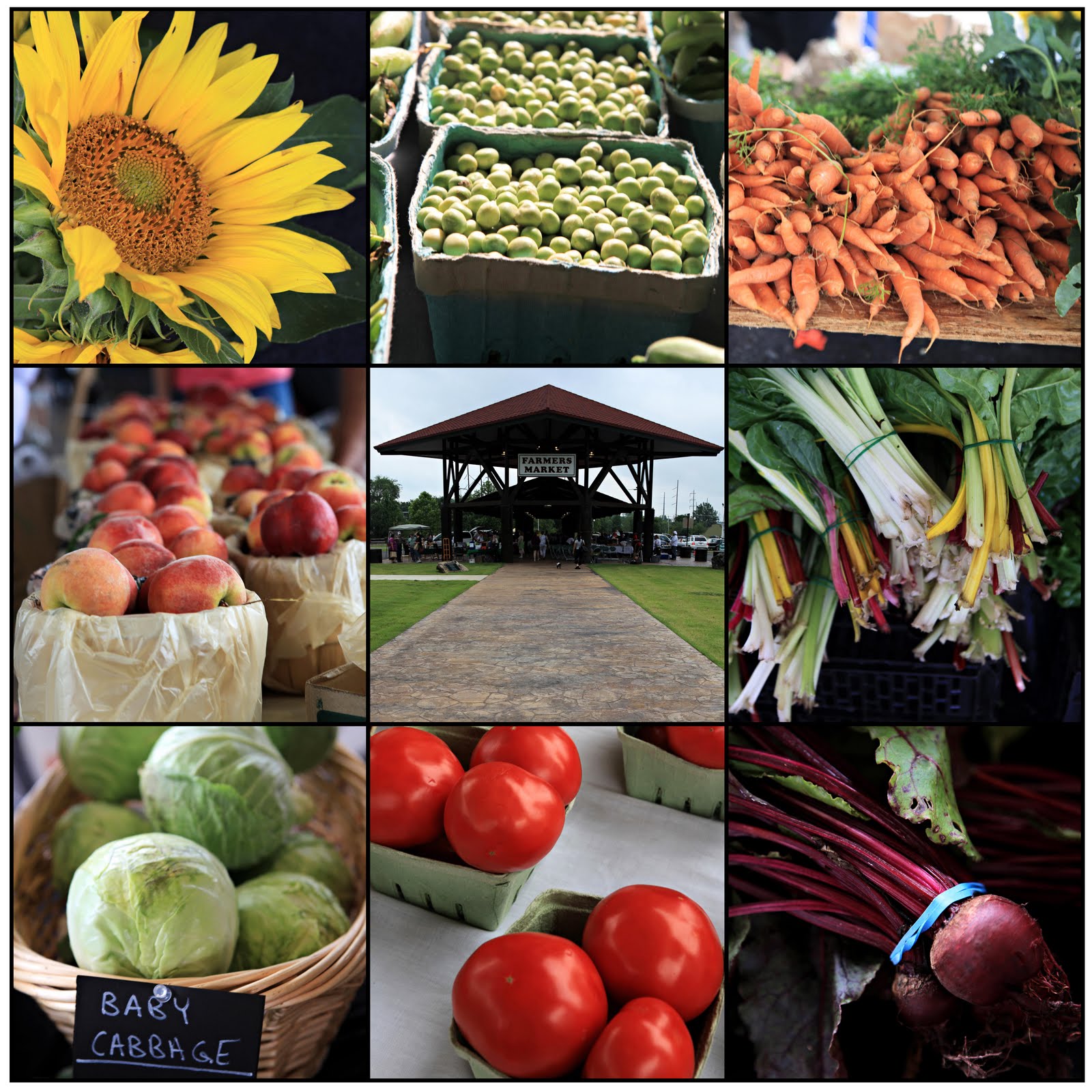 loibners hot springs farmers market