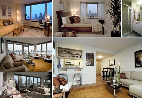 affordable apartment rentals in nyc everything you need to know