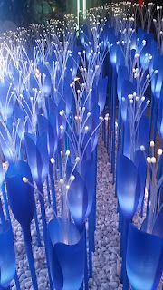 azebaijan-expo azerbaijan-tulipani
