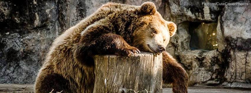 FB Cover Photos 2015 FB Cover Photos 2015