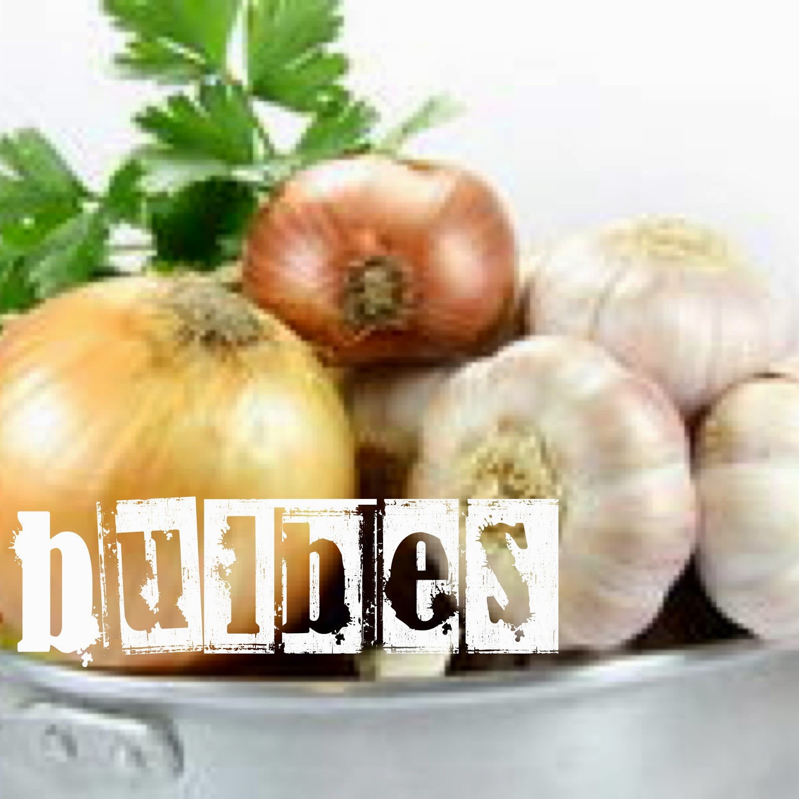 Bien Plus Que 5 Fruits Et Légumes Classification des légumes