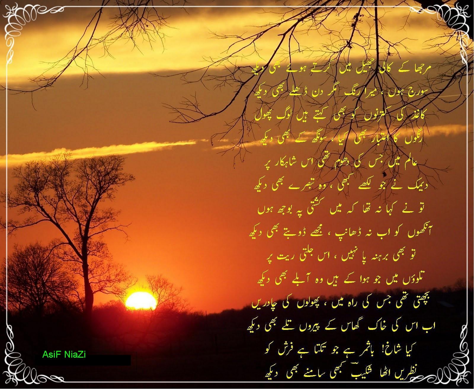 Asif Niazi