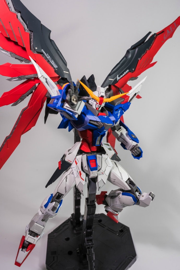 Gundam Family 1/100 Destiny Gundam Custom Build with Resin Conversion Kits