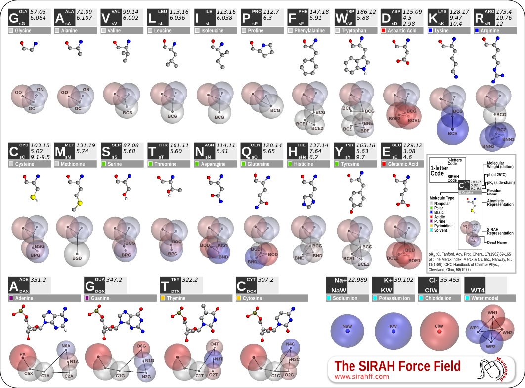 SIRAH Force field for amino acids, solvent and nucleotides SIRAH