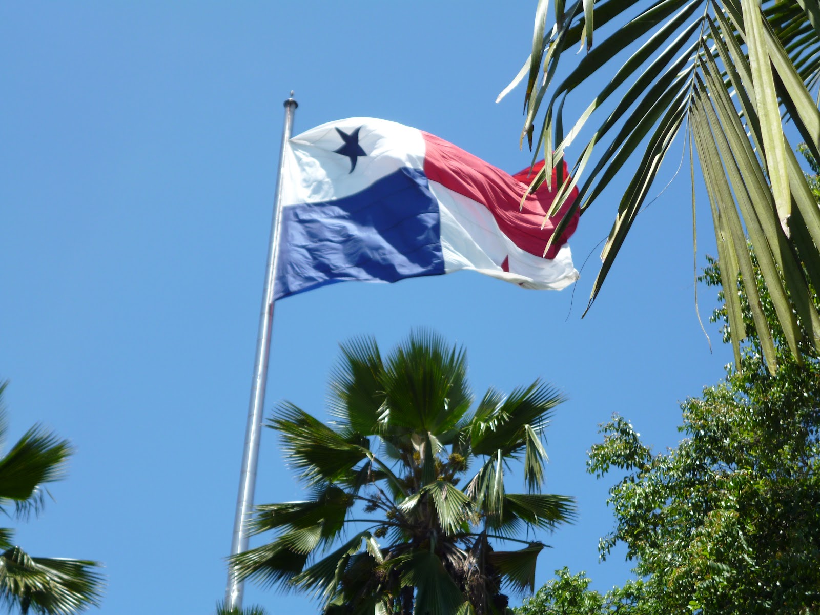 Panamarc Et Caroline Le Drapeau Du Panama