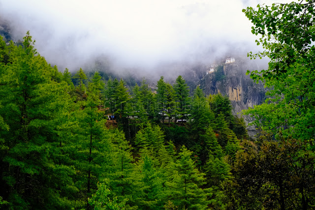 Paro Taktsang / Tiger's Nest Monastery Paro Taktsang / Tiger's Nest Monastery