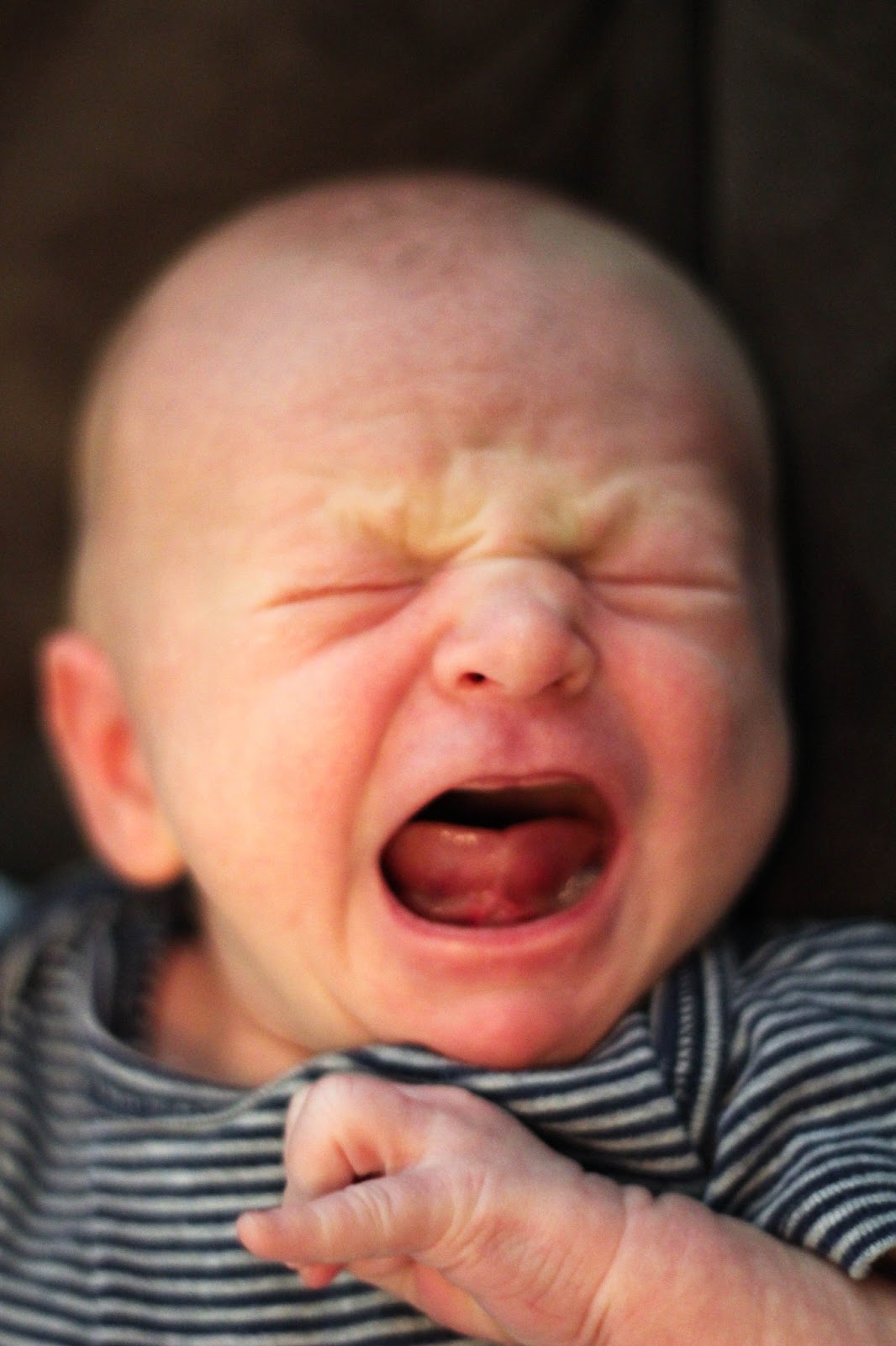 Hazardous Undertakings Tonguetied