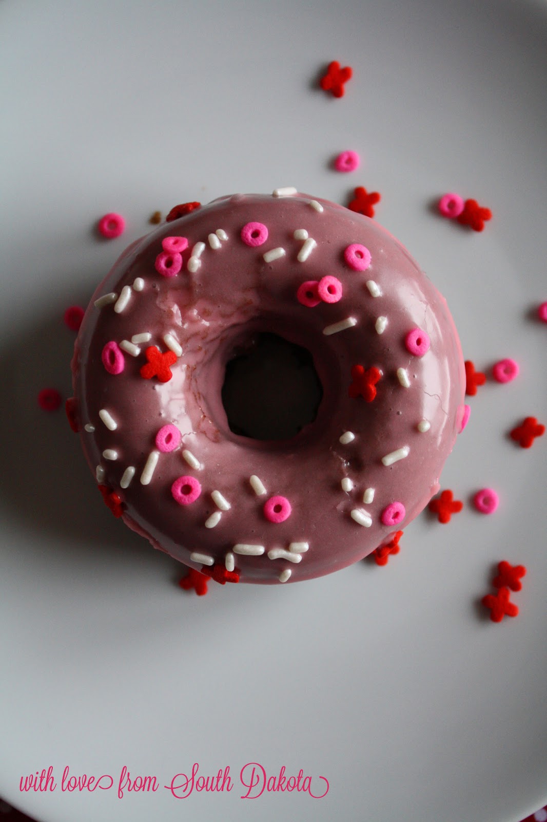 With Love from South Dakota Baked Chocolate Cinnamon Doughnuts