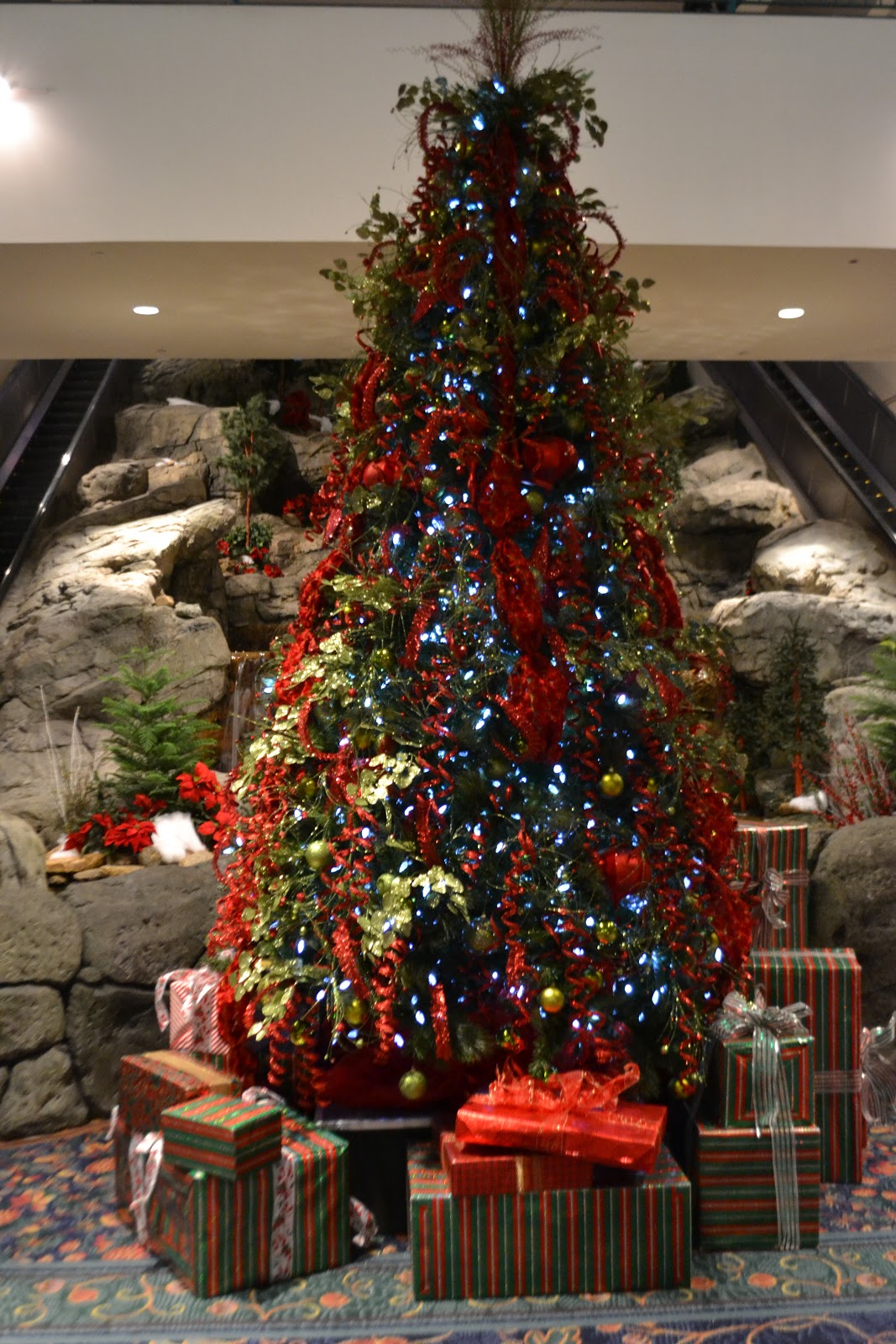 It's All About Purple The Connecticut Christmas Trees