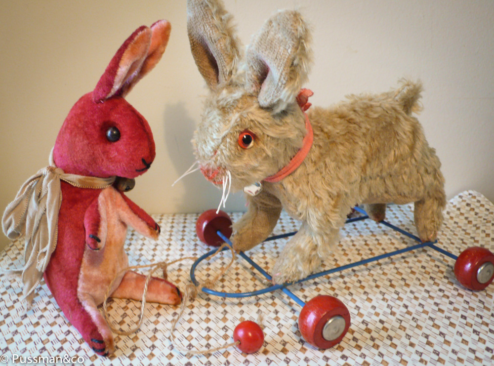 PUSSMANSTUFFIES ETC... Alfred (adopted) the bunny on wheels