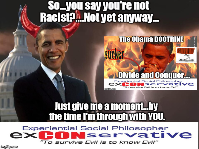 Obama thesis racism 07 picture