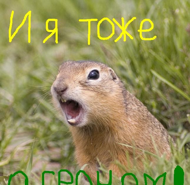 Типы одежды в наше время Типы одежды в наше время