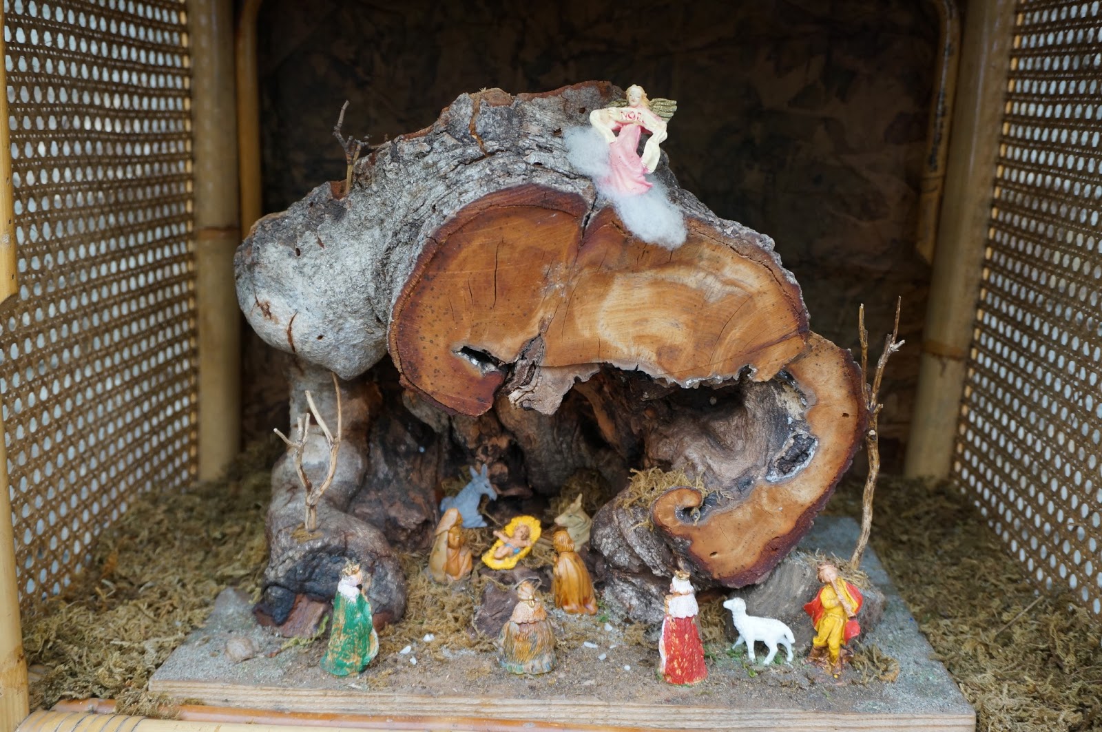 Presepe Su Tronco Di Legno foto-news dal mondo: Presepi: arte,fantasia e devozione popolare.