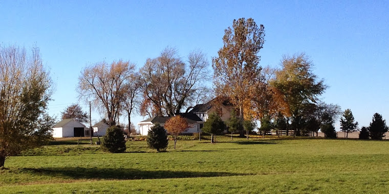  Villhauer's Farm 11/2013